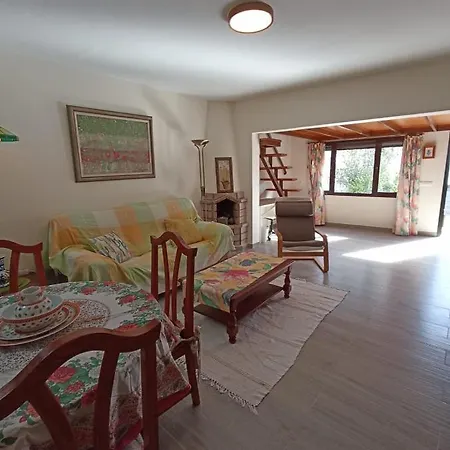 Strelitzia Puerto del Carmen