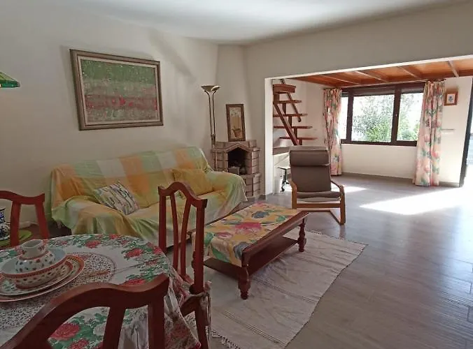 Strelitzia Puerto del Carmen